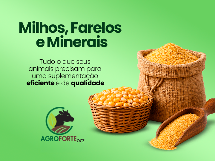 Milhos, farelos e minerais