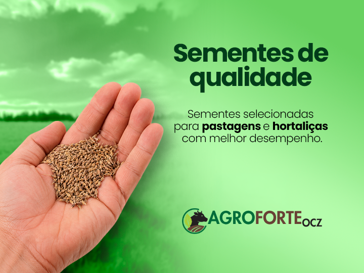 Sementes de qualidade