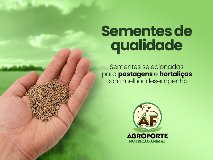 Sementes de qualidade