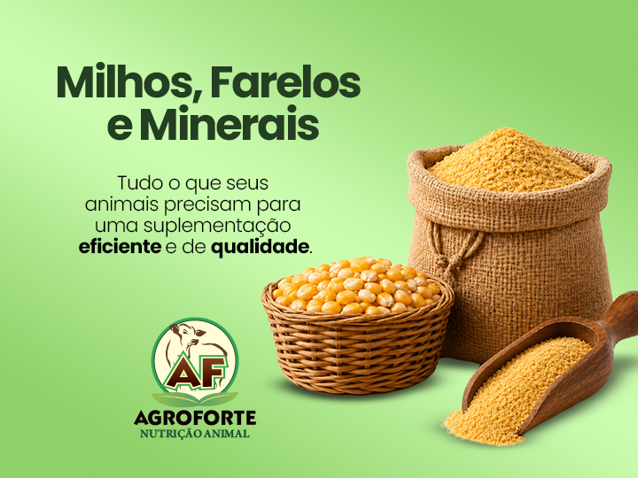 Milhos, farelos e minerais